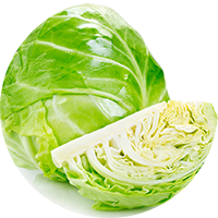 キャベツ