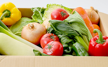 梱包された野菜イメージ